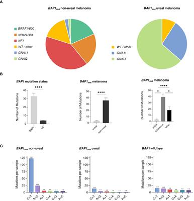 Clinical and genetic characteristics of BAP1-mutated non-uveal and uveal melanoma